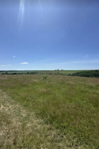 Земельный участок сельскохозяйственного назначения в Лысогоре, площадь 10 соток фото 2 Земельный участок сельскохозяйственного назначения в Лысогоре, площадь 10 соток фото 2