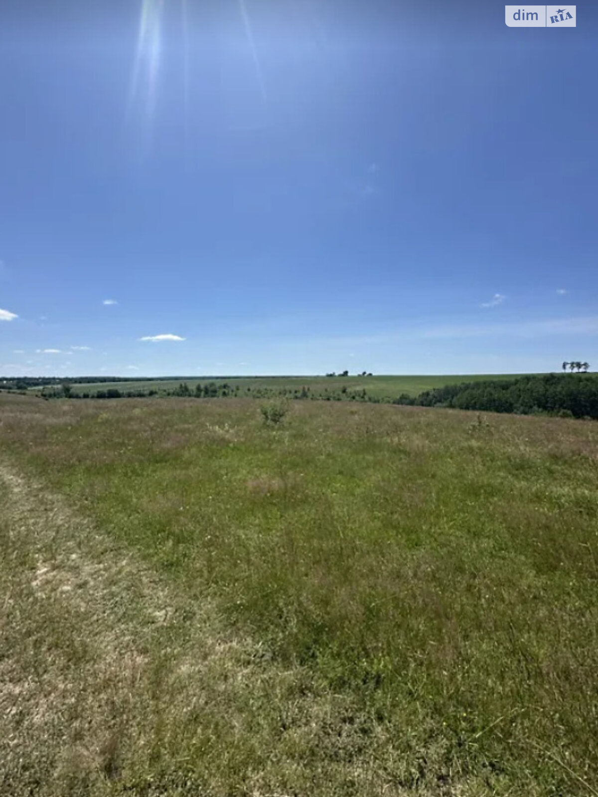 Земельный участок сельскохозяйственного назначения в Лысогоре, площадь 10 соток фото 1 Земельный участок сельскохозяйственного назначения в Лысогоре, площадь 10 соток фото 1