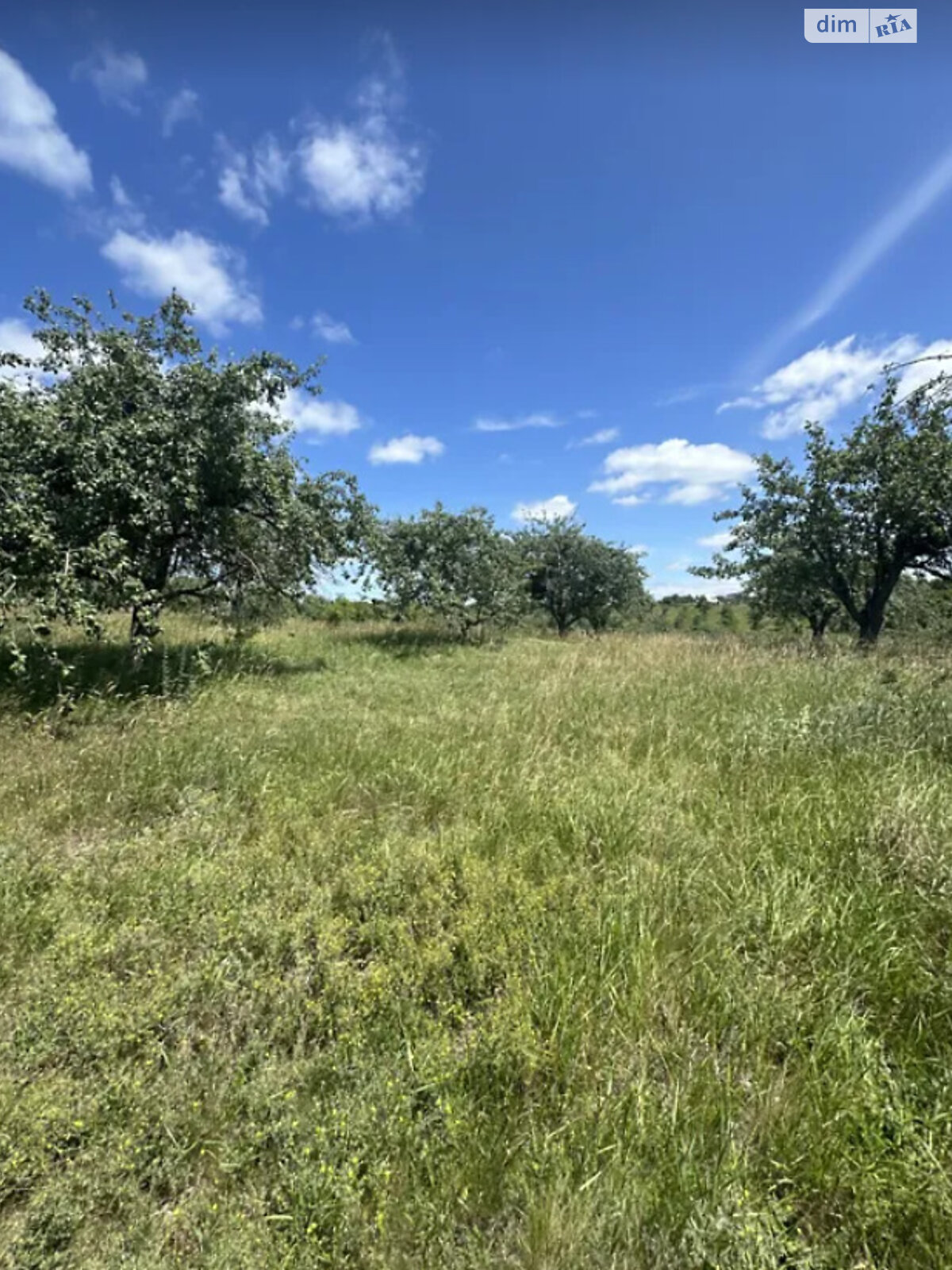 Земельный участок сельскохозяйственного назначения в Лысогоре, площадь 10 соток фото 1 Земельный участок сельскохозяйственного назначения в Лысогоре, площадь 10 соток фото 1