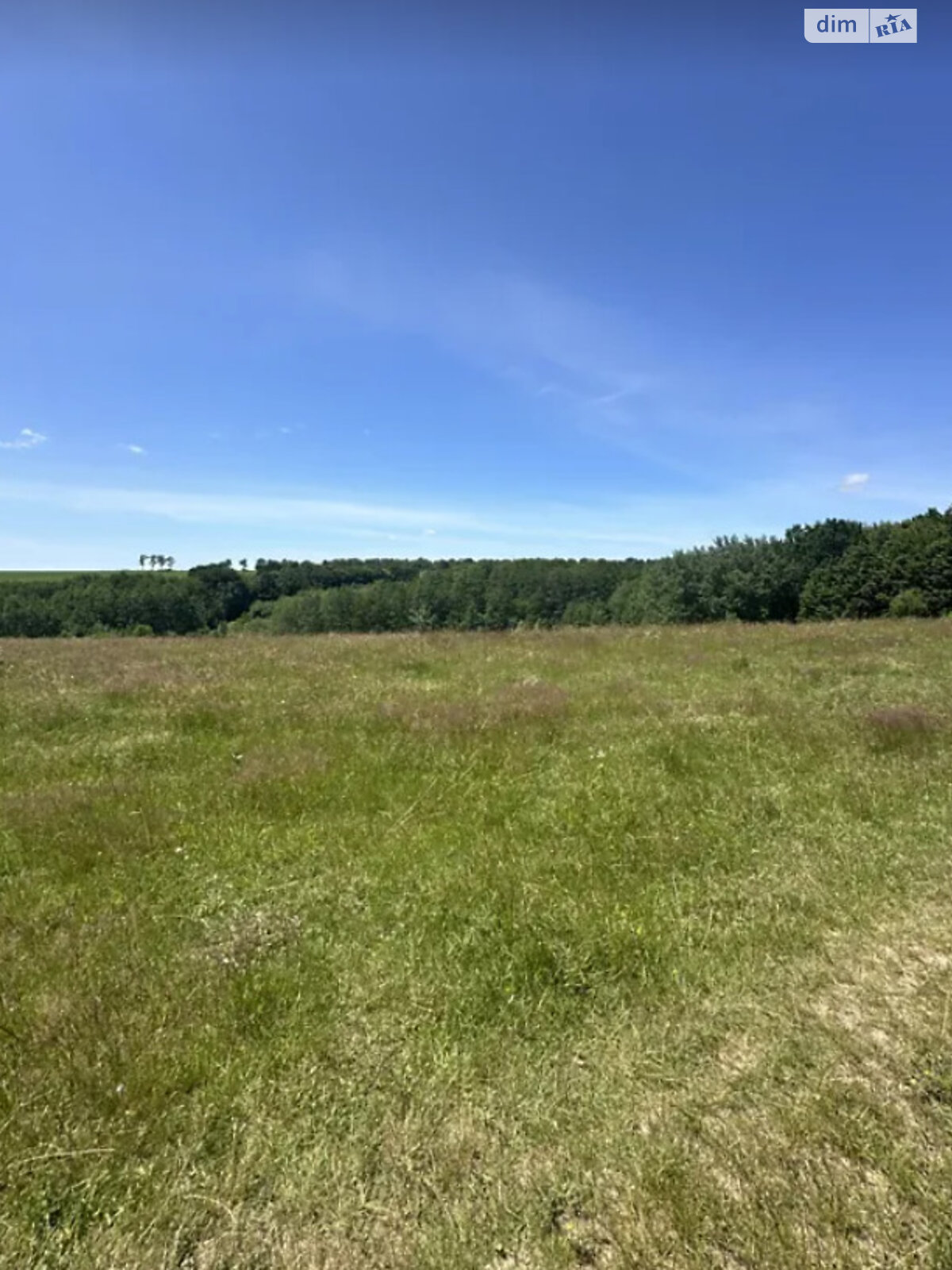 Земельный участок сельскохозяйственного назначения в Лысогоре, площадь 10 соток фото 1 Земельный участок сельскохозяйственного назначения в Лысогоре, площадь 10 соток фото 1