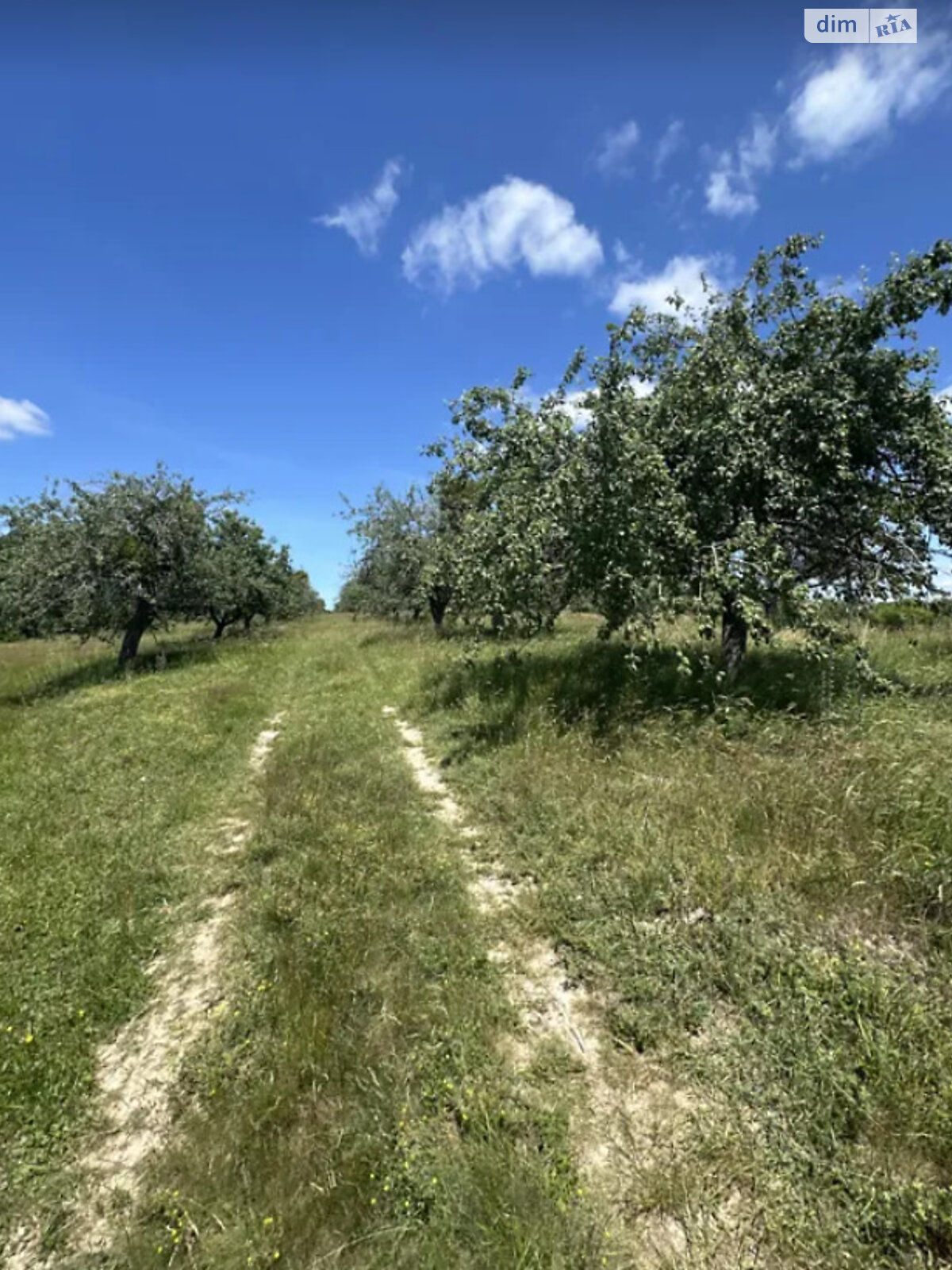 Земельный участок сельскохозяйственного назначения в Лысогоре, площадь 10 соток фото 1 Земельный участок сельскохозяйственного назначения в Лысогоре, площадь 10 соток фото 1