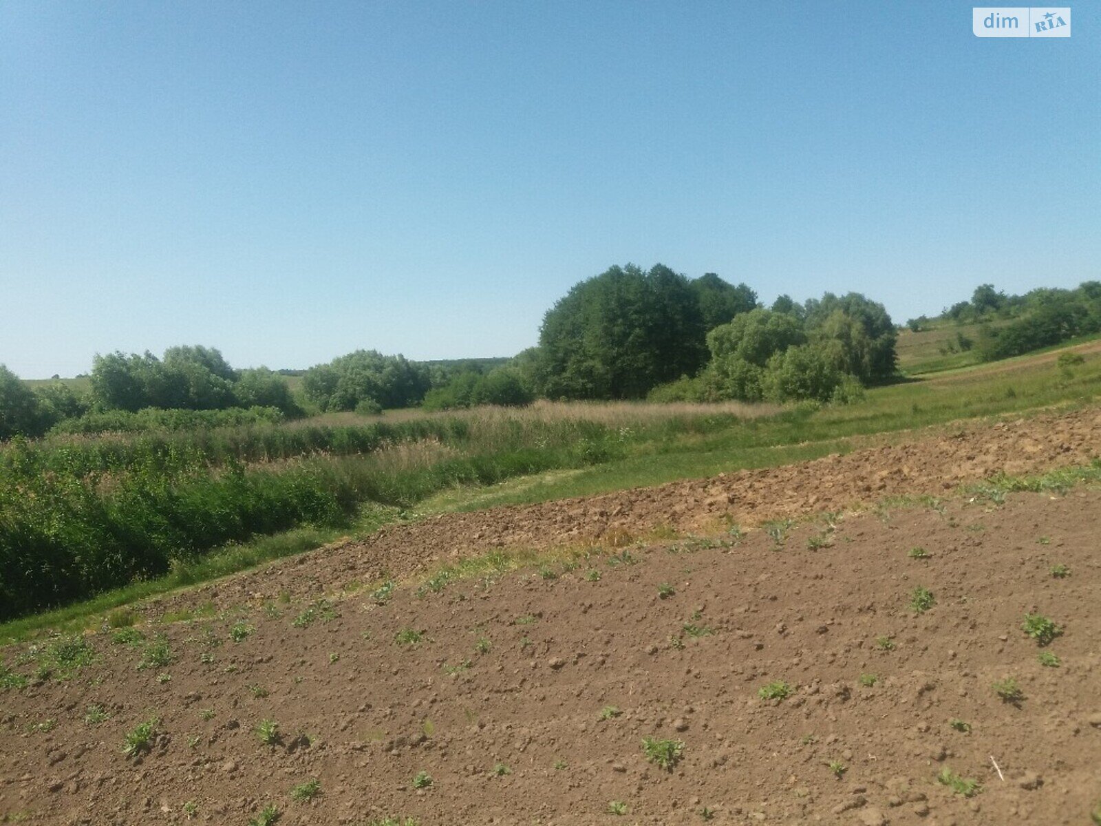 Земельна ділянка сільськогосподарського призначення в Лисогорі, площа 4.5 сотки фото 1