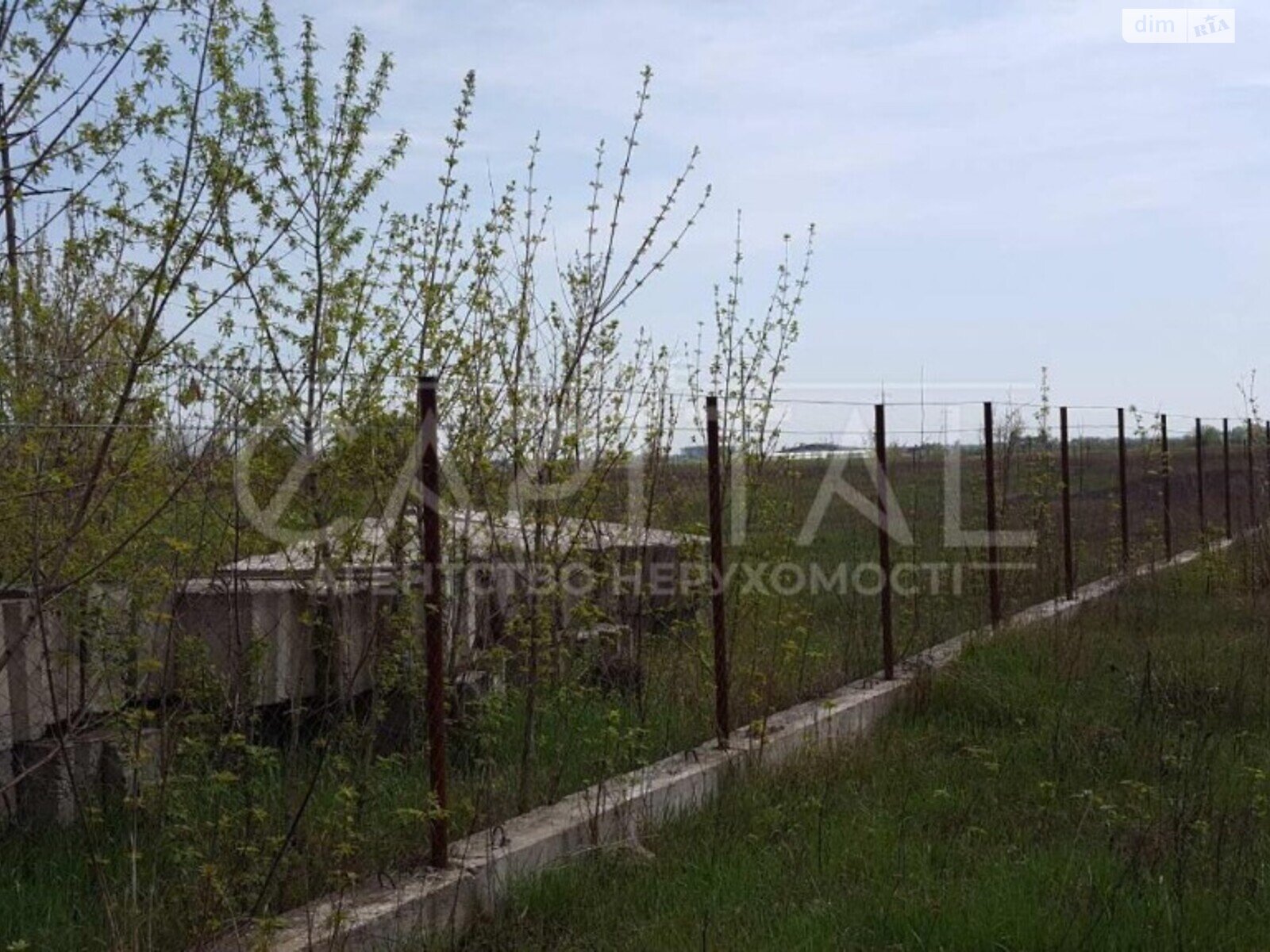 Земельный участок сельскохозяйственного назначения в Любимовке, площадь 190 соток фото 1