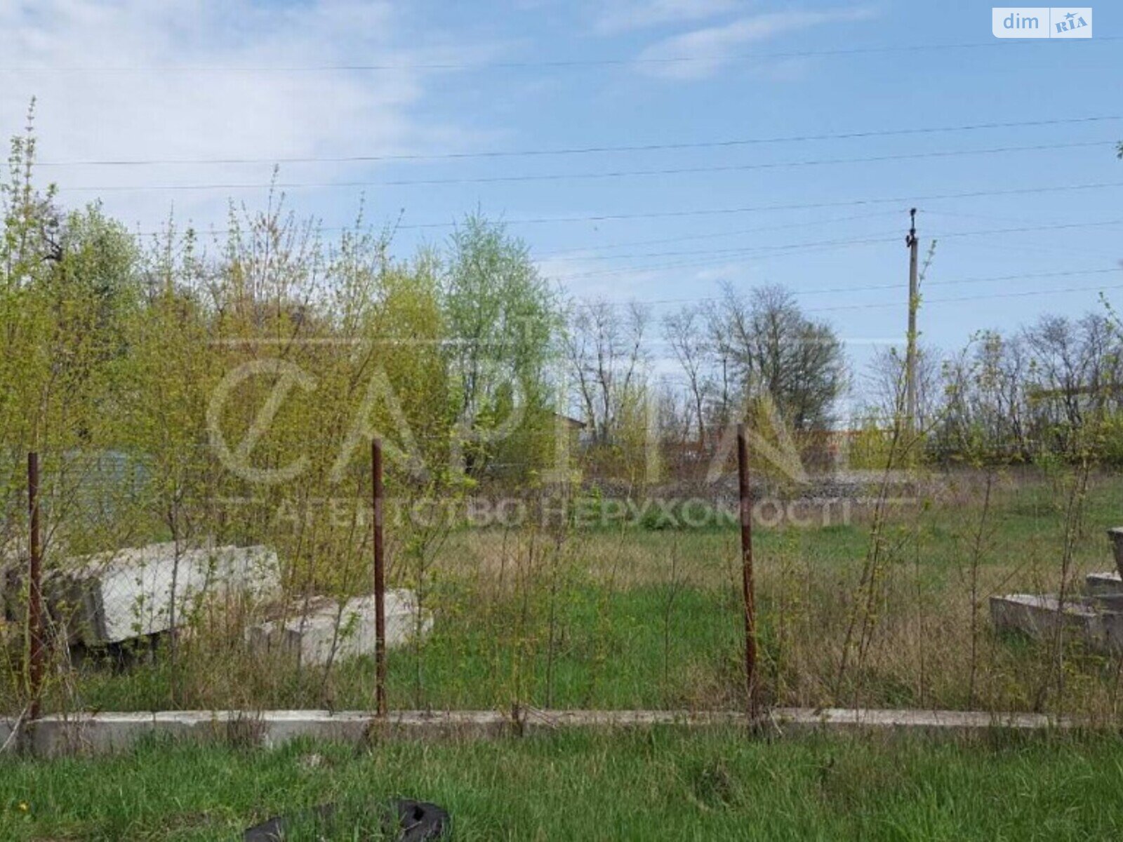 Земельна ділянка сільськогосподарського призначення в Любимівці, площа 190 соток фото 1