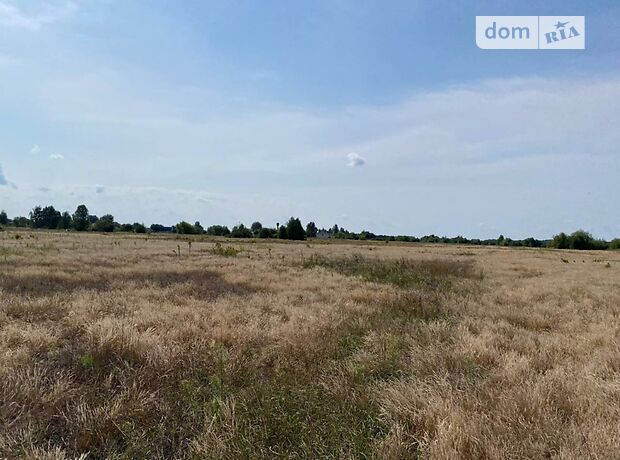 Земля сельскохозяйственного назначения в селе Колонщина, площадь 2.6006 Га фото 1 Земля сельскохозяйственного назначения в селе Колонщина, площадь 2.6006 Га фото 1