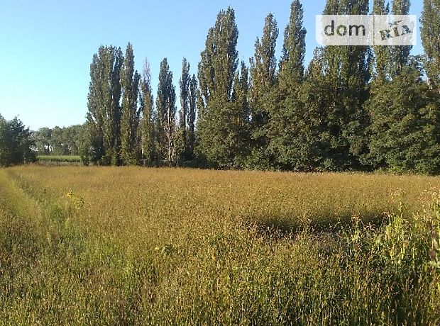 Продаж землі сільськогосподарського призначення, Київська, Макарів, c. Копилів, Шевченка 1 г Продаж землі сільськогосподарського призначення, Київська, Макарів, c. Копилів, Шевченка 1 г
