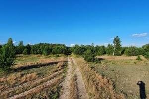 Земельный участок сельскохозяйственного назначения в Копылове, площадь 1 Га фото 2