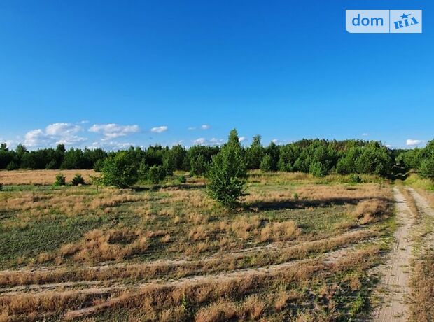 Земля сельскохозяйственного назначения в селе Копылов, площадь 1 Га фото 1 Земля сельскохозяйственного назначения в селе Копылов, площадь 1 Га фото 1