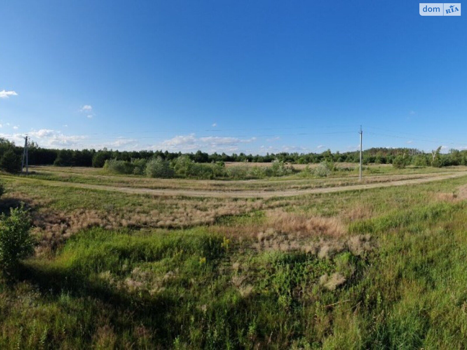 Земельный участок сельскохозяйственного назначения в Копылове, площадь 1 Га фото 1
