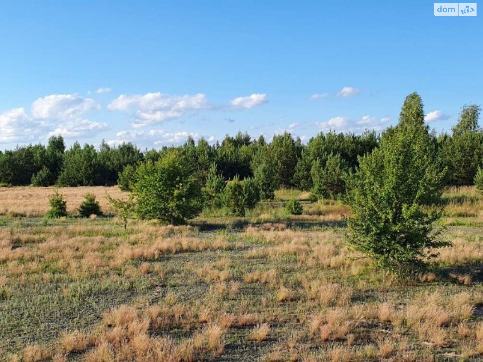 Земельный участок сельскохозяйственного назначения в Копылове, площадь 1 Га фото 1