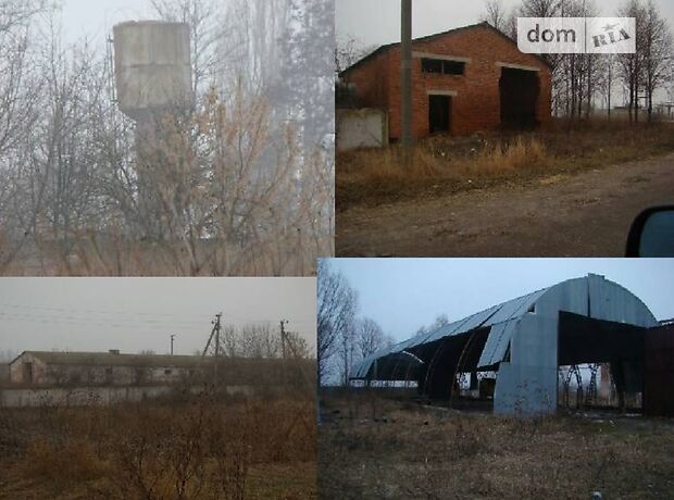 Земля сельскохозяйственного назначения в Макарове, район Макаров, площадь 10 Га фото 1 Земля сельскохозяйственного назначения в Макарове, район Макаров, площадь 10 Га фото 1
