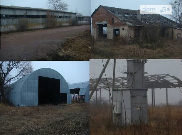 Земля сельскохозяйственного назначения в Макарове, район Макаров, площадь 10 Га фото 1 Земля сельскохозяйственного назначения в Макарове, район Макаров, площадь 10 Га фото 1