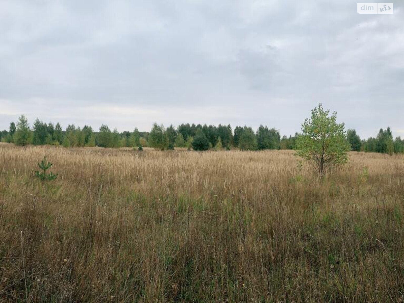 Земля сельскохозяйственного назначения в Макарове, район Макаров, площадь 94.38 сотки фото 1