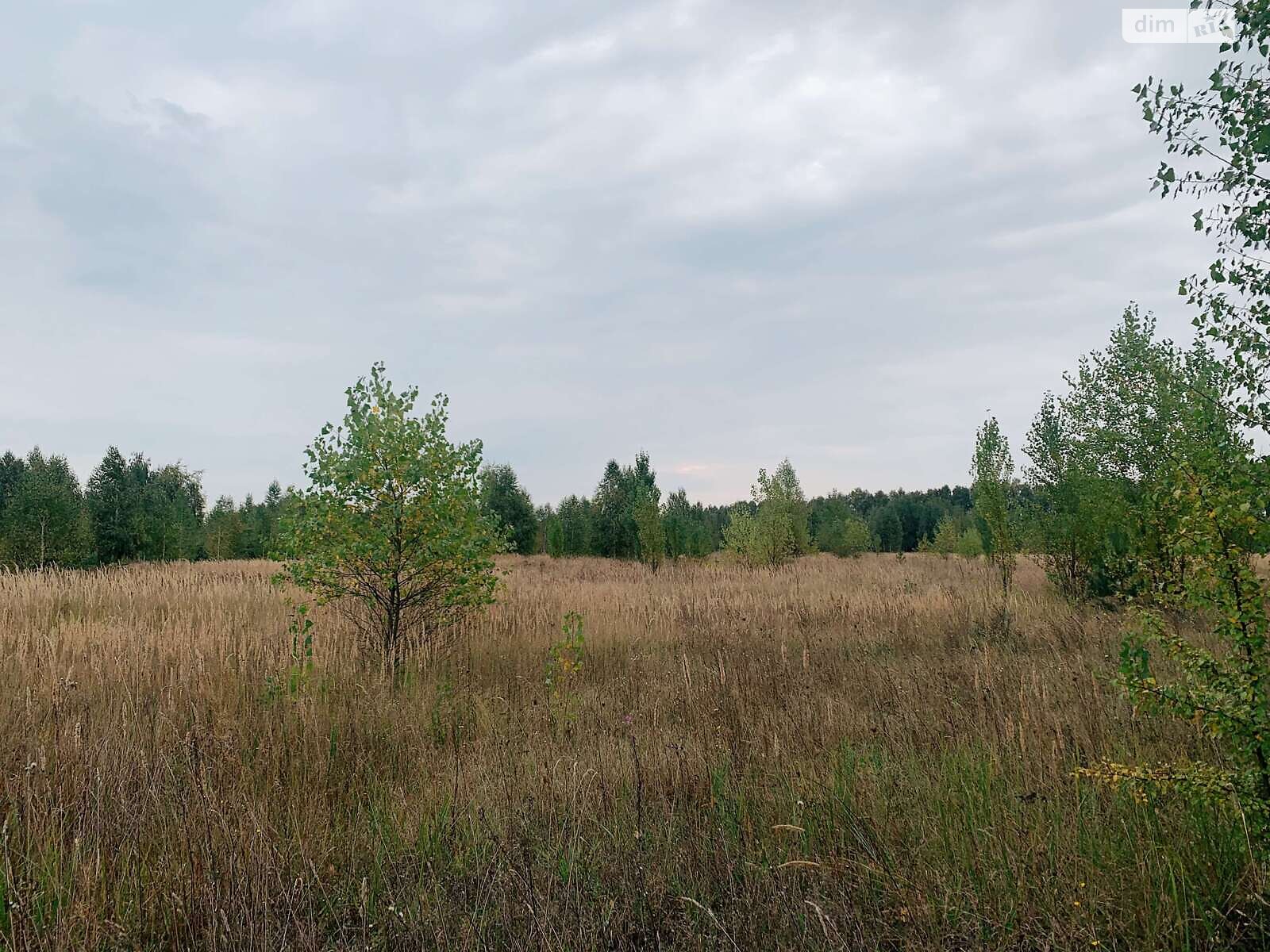 Земля сельскохозяйственного назначения в Макарове, район Макаров, площадь 94.38 сотки фото 1