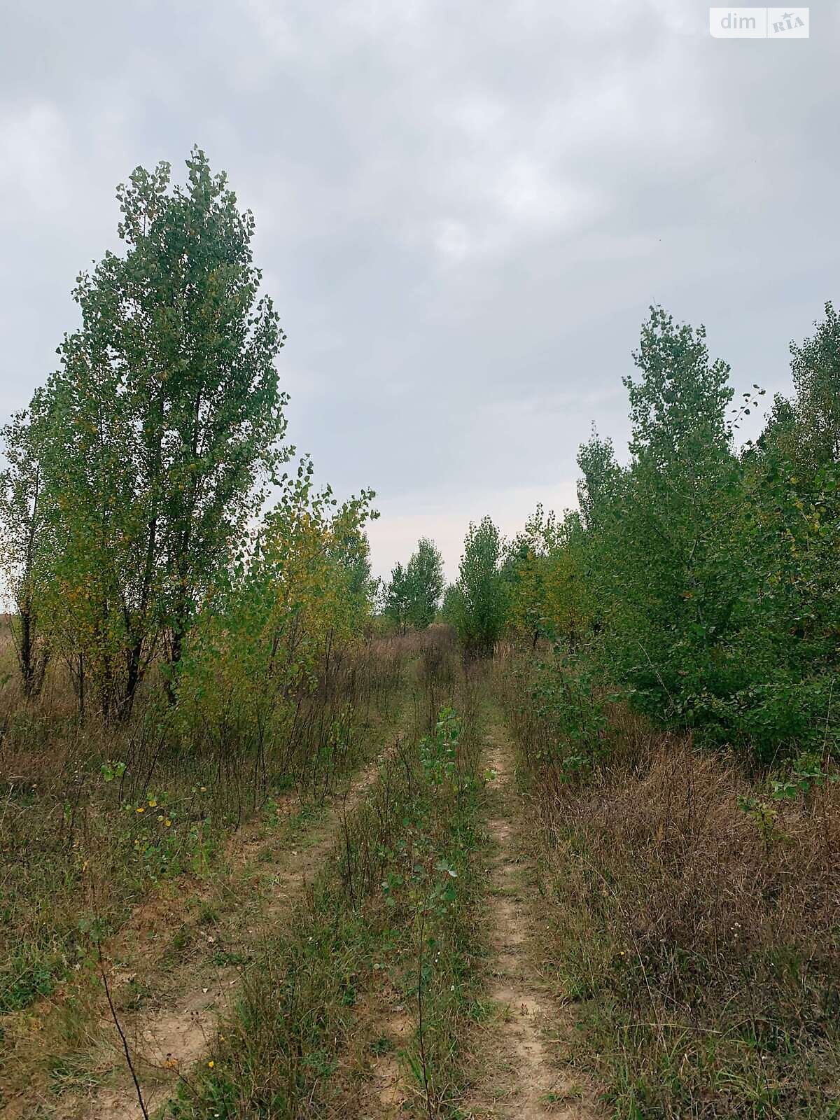 Земля сельскохозяйственного назначения в Макарове, район Макаров, площадь 94.38 сотки фото 1