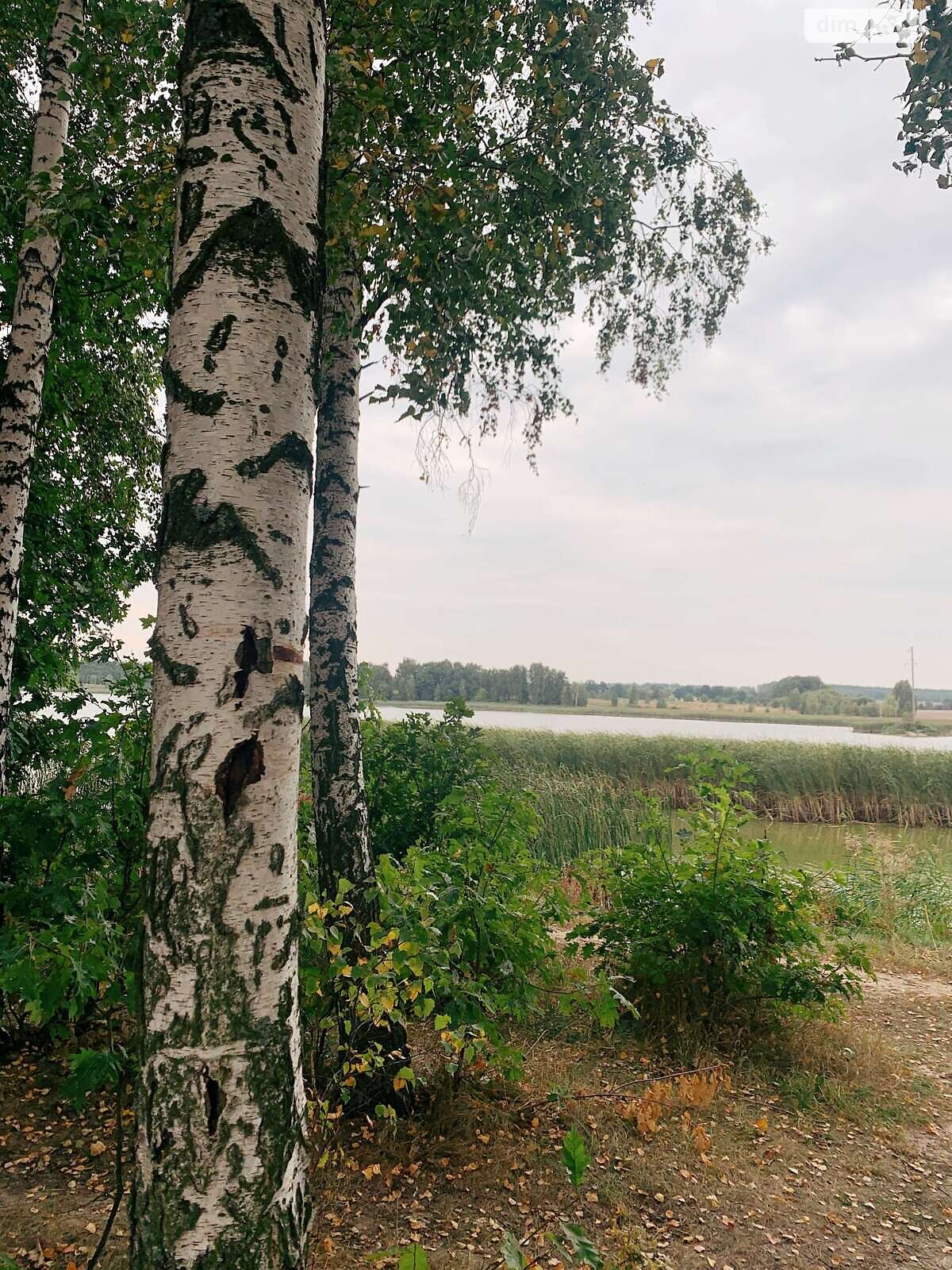 Земля сельскохозяйственного назначения в Макарове, район Макаров, площадь 94.38 сотки фото 1