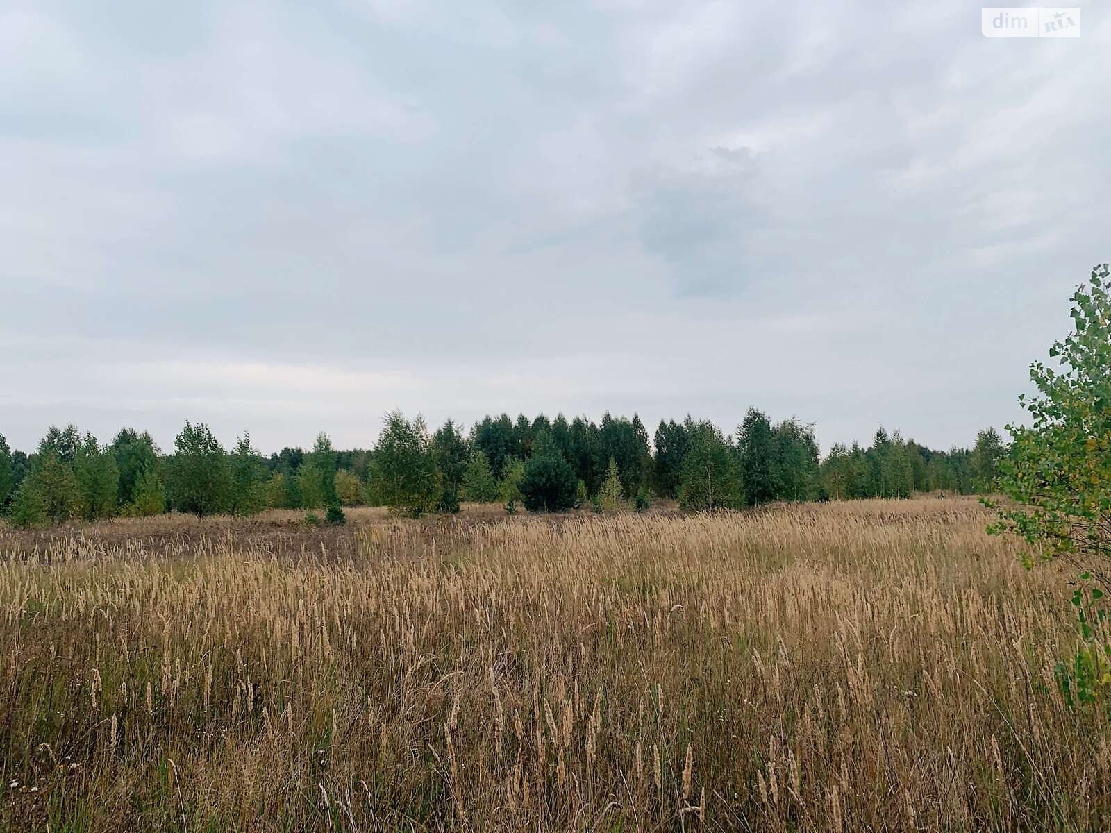 Земля сельскохозяйственного назначения в Макарове, район Макаров, площадь 94.38 сотки фото 1