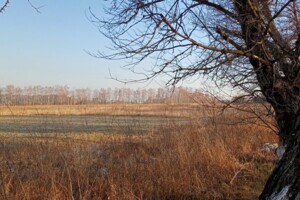 Земельна ділянка сільськогосподарського призначення в Маковищі, площа 12 соток фото 1