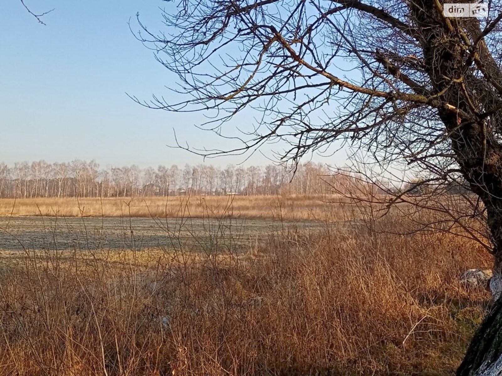 Земельна ділянка сільськогосподарського призначення в Маковищі, площа 12 соток фото 1 Земельна ділянка сільськогосподарського призначення в Маковищі, площа 12 соток фото 1