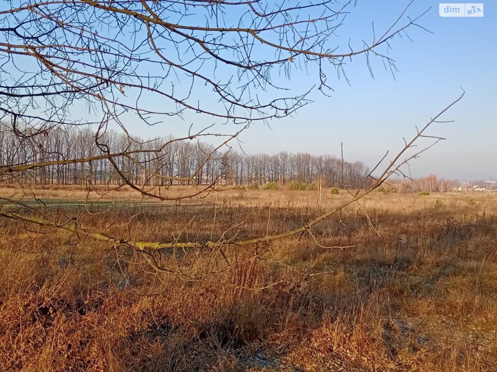 Земельна ділянка сільськогосподарського призначення в Маковищі, площа 12 соток фото 1 Земельна ділянка сільськогосподарського призначення в Маковищі, площа 12 соток фото 1