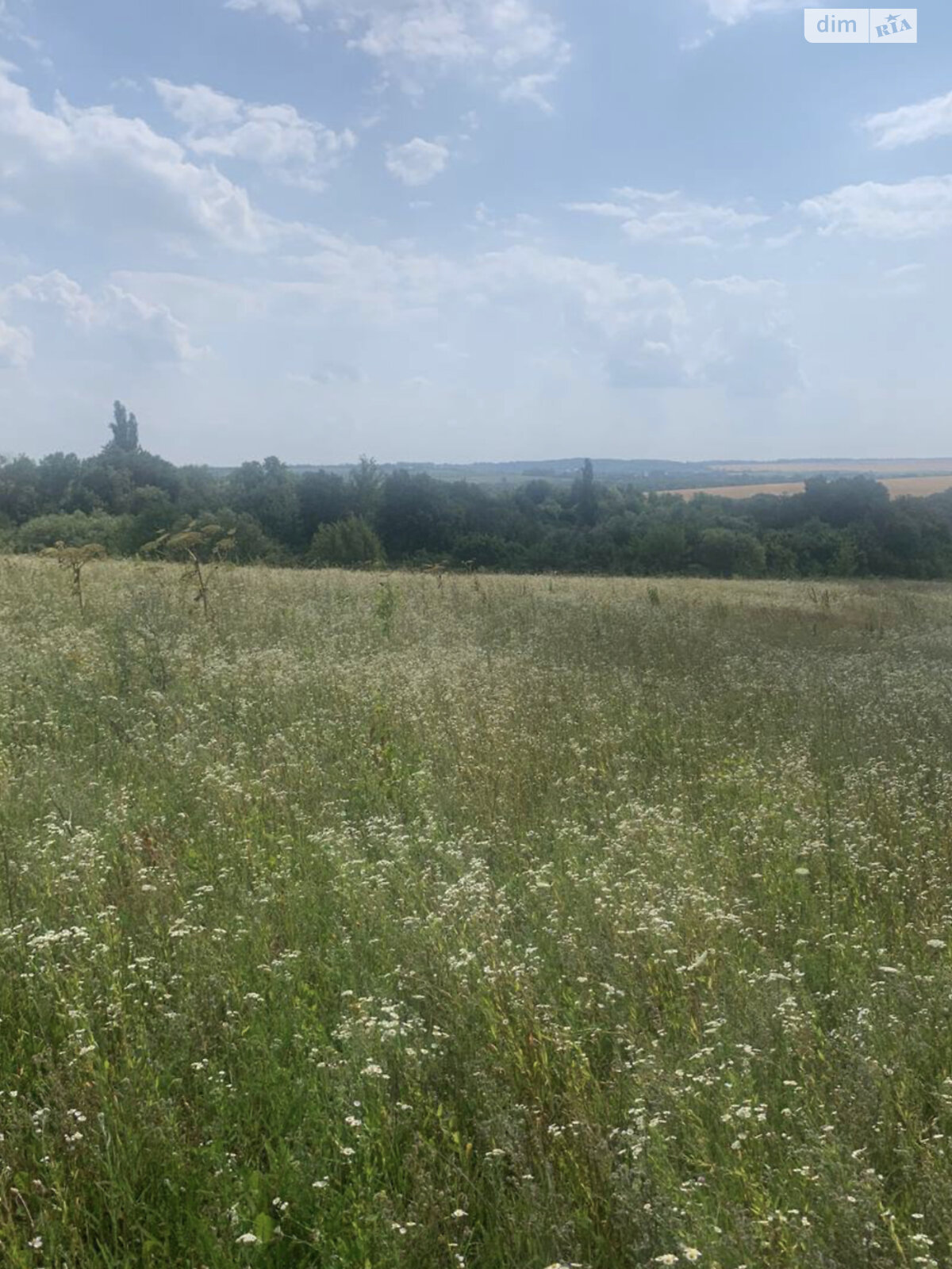 Земельна ділянка сільськогосподарського призначення в Малашівцях, площа 0.095 Га фото 1