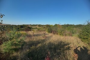 Земельна ділянка сільськогосподарського призначення в Малашівцях, площа 12 соток фото 2