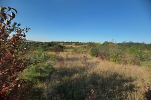 Земельна ділянка сільськогосподарського призначення в Малашівцях, площа 12 соток фото 2