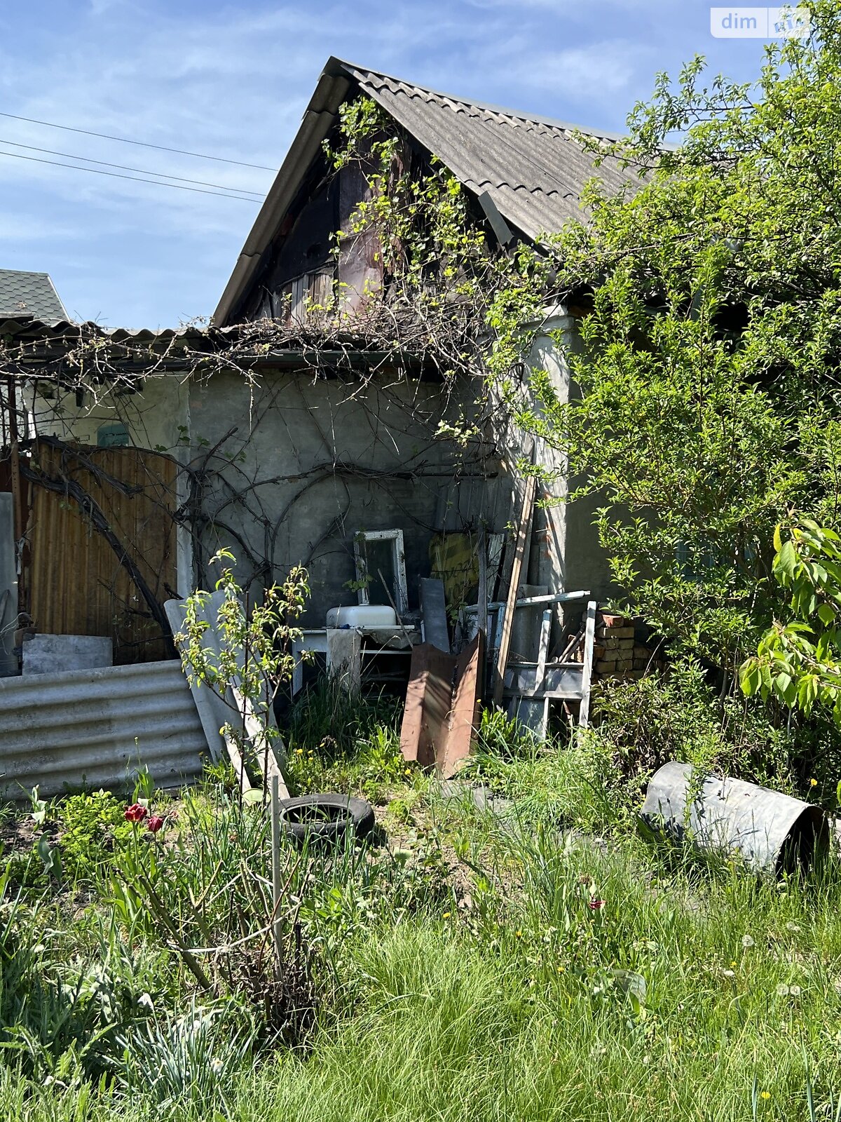 Земельна ділянка сільськогосподарського призначення в Малій Данилівці, площа 6.18 сотки фото 1 Земельна ділянка сільськогосподарського призначення в Малій Данилівці, площа 6.18 сотки фото 1