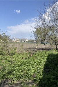 Земельный участок сельскохозяйственного назначения в Малой Ольшанке, площадь 61 сотка фото 2