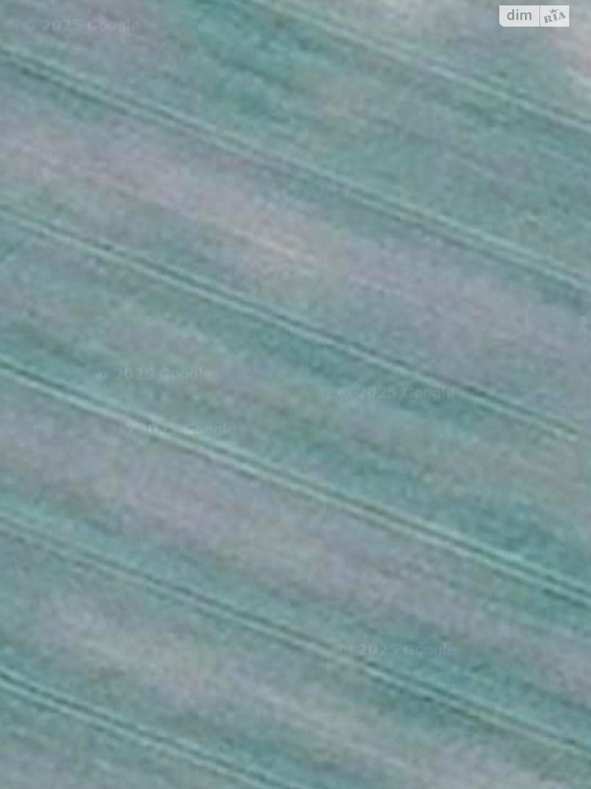 Земельна ділянка сільськогосподарського призначення в Малині, площа 2.1474 Га фото 1 Земельна ділянка сільськогосподарського призначення в Малині, площа 2.1474 Га фото 1