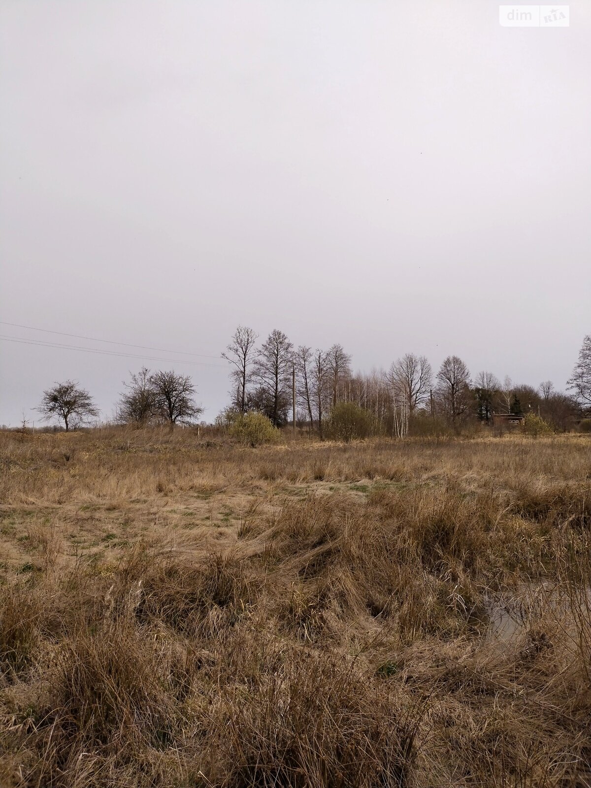 Земельна ділянка сільськогосподарського призначення в Малинівці, площа 24 сотки фото 1