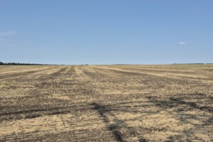 Земельный участок сельскохозяйственного назначения в Малом, площадь 716 соток фото 2