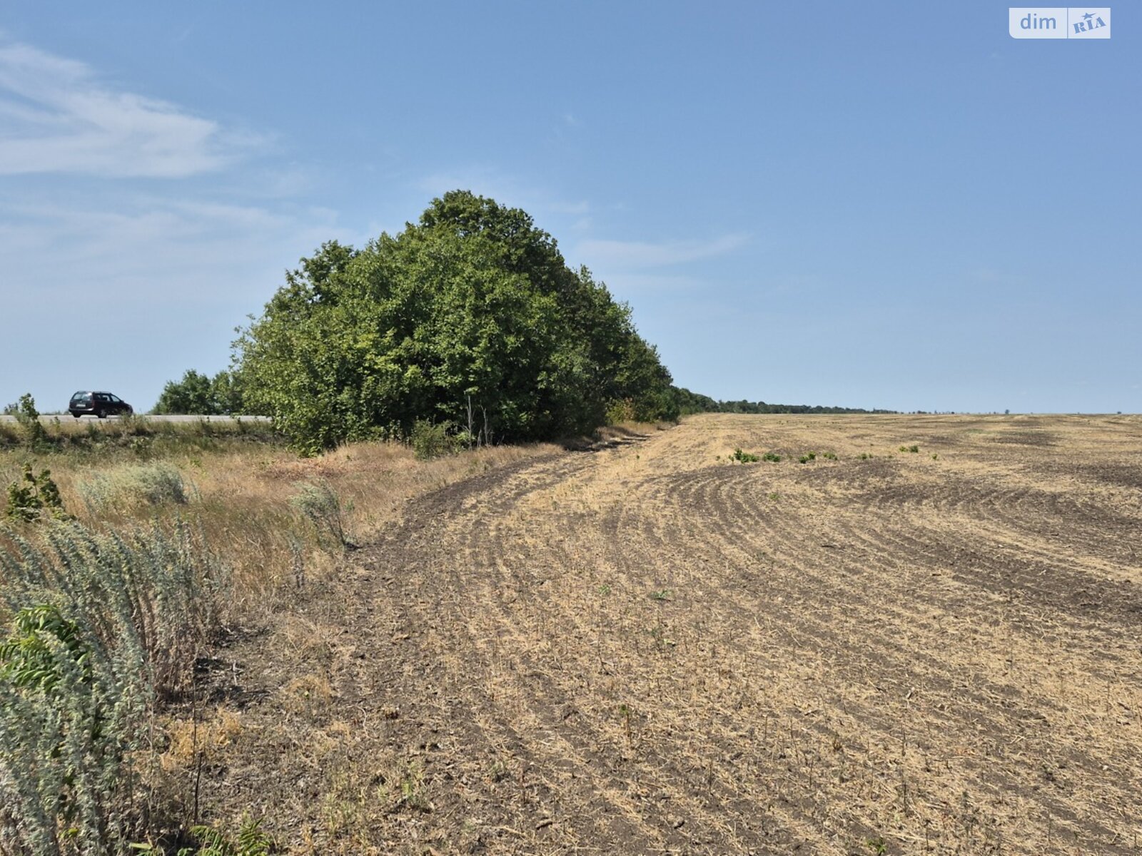 Земельный участок сельскохозяйственного назначения в Малом, площадь 716 соток фото 1 Земельный участок сельскохозяйственного назначения в Малом, площадь 716 соток фото 1