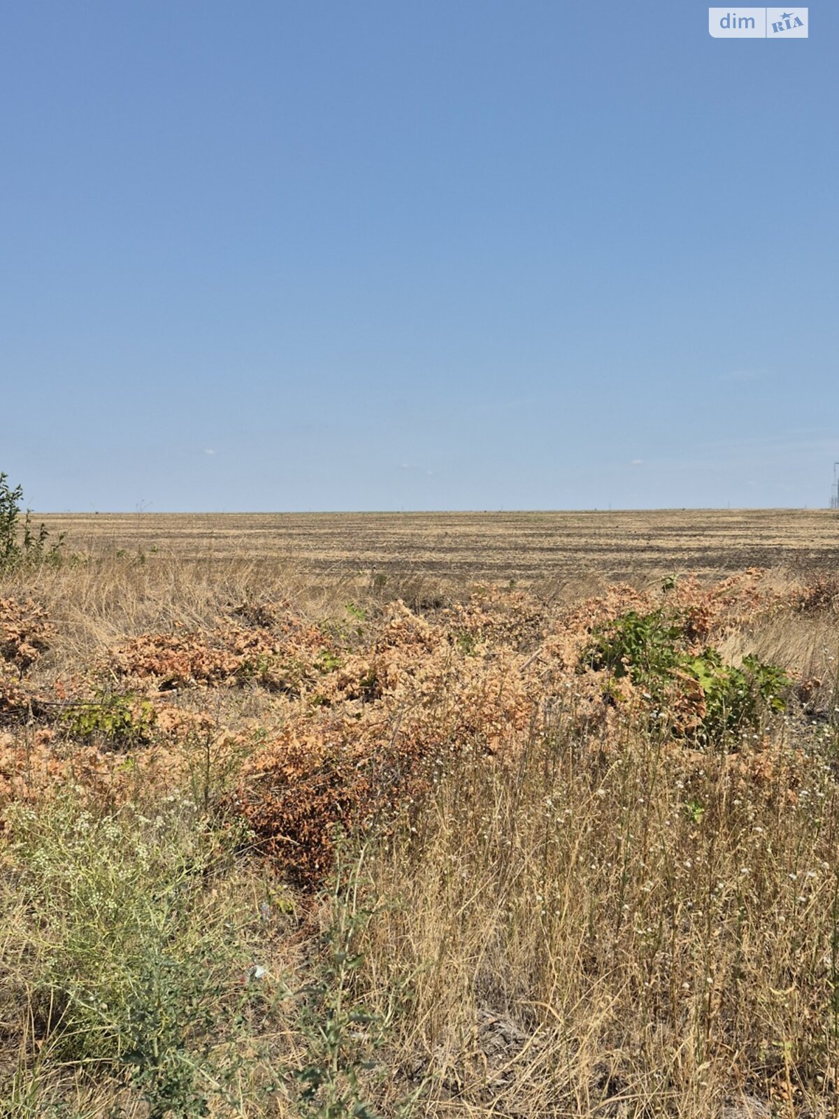 Земельный участок сельскохозяйственного назначения в Малом, площадь 716 соток фото 1 Земельный участок сельскохозяйственного назначения в Малом, площадь 716 соток фото 1
