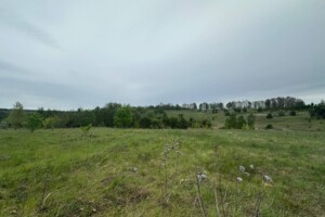 Земельный участок сельскохозяйственного назначения в Малых Дмитровичах, площадь 51.44 сотки фото 2