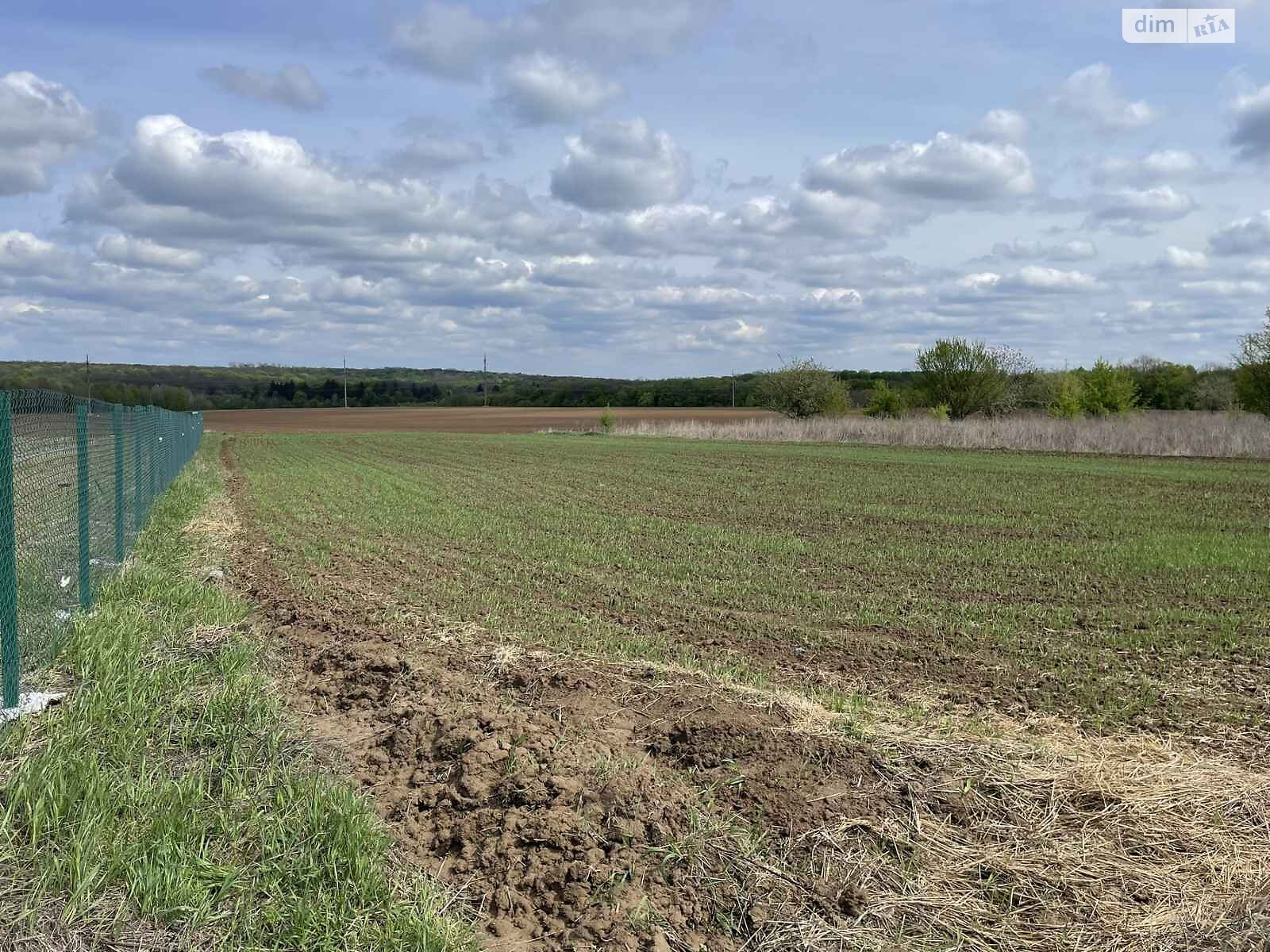 Земельна ділянка сільськогосподарського призначення в Малих Крушлинцях, площа 60 соток фото 1 Земельна ділянка сільськогосподарського призначення в Малих Крушлинцях, площа 60 соток фото 1
