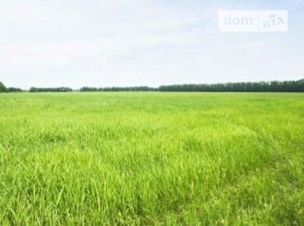 Земля сельскохозяйственного назначения в Марковке, район Марковка, площадь 2400 соток фото 1 Земля сельскохозяйственного назначения в Марковке, район Марковка, площадь 2400 соток фото 1