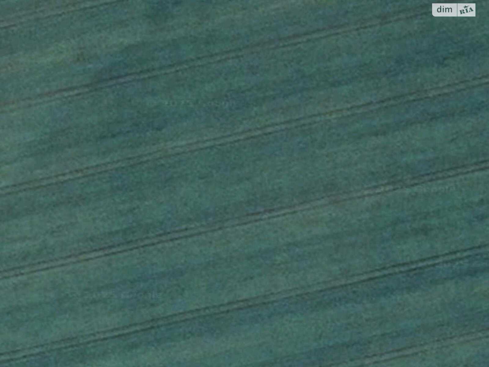 Земельна ділянка сільськогосподарського призначення в Матіясове, площа 8.3924 Га фото 1 Земельна ділянка сільськогосподарського призначення в Матіясове, площа 8.3924 Га фото 1