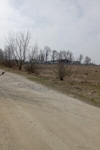 Земельна ділянка сільськогосподарського призначення в Мацківцях, площа 1 Га фото 2