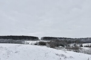 Земельна ділянка сільськогосподарського призначення в Майдані-Чапельскому, площа 9 соток фото 2