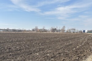 Земельна ділянка сільськогосподарського призначення в Майдані, площа 2.6 Га фото 2