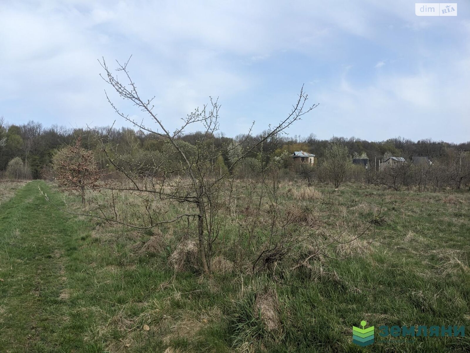 Земельна ділянка сільськогосподарського призначення в Майдані, площа 19.13 сотки фото 1 Земельна ділянка сільськогосподарського призначення в Майдані, площа 19.13 сотки фото 1