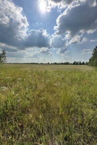 Земельна ділянка сільськогосподарського призначення в Майданівці, площа 600 соток фото 2