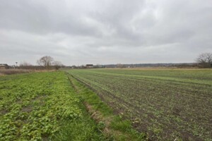 Земельна ділянка сільськогосподарського призначення в Медведці, площа 29 соток фото 2
