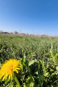 Земельна ділянка сільськогосподарського призначення в Медмежому Вушку, площа 8 соток фото 1