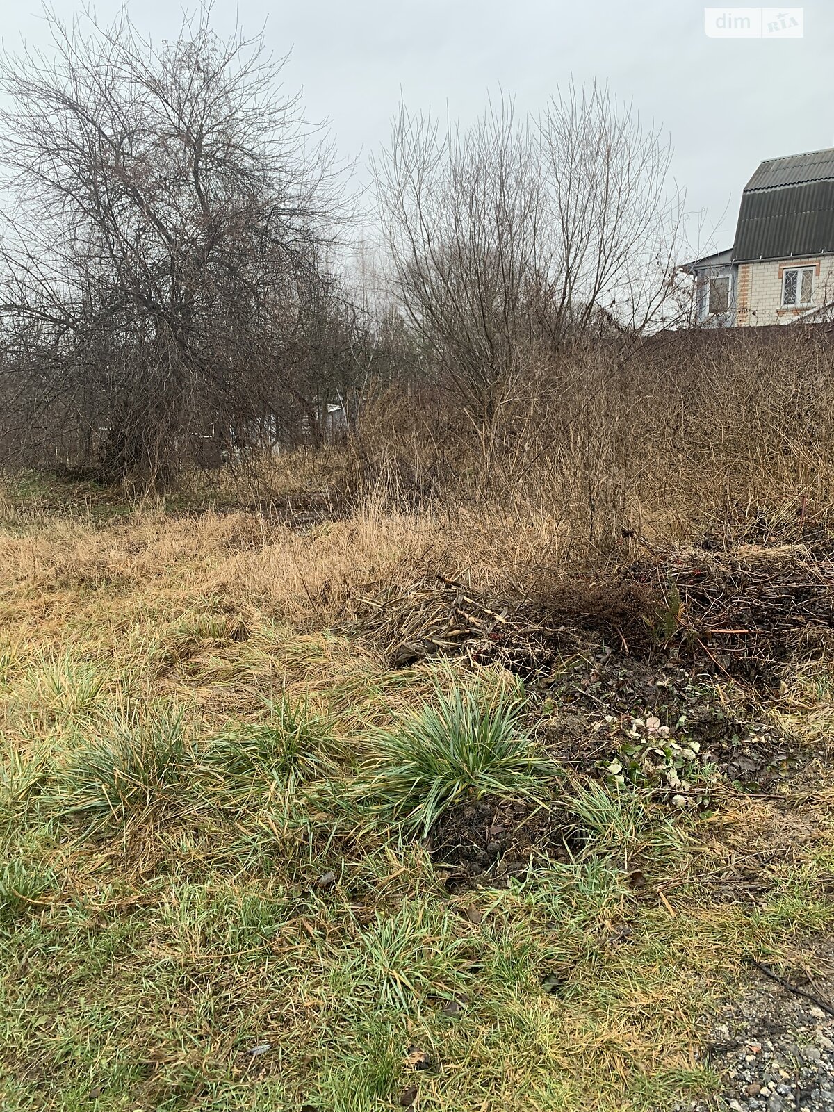 Земельна ділянка сільськогосподарського призначення в Медмежому Вушку, площа 6 соток фото 1