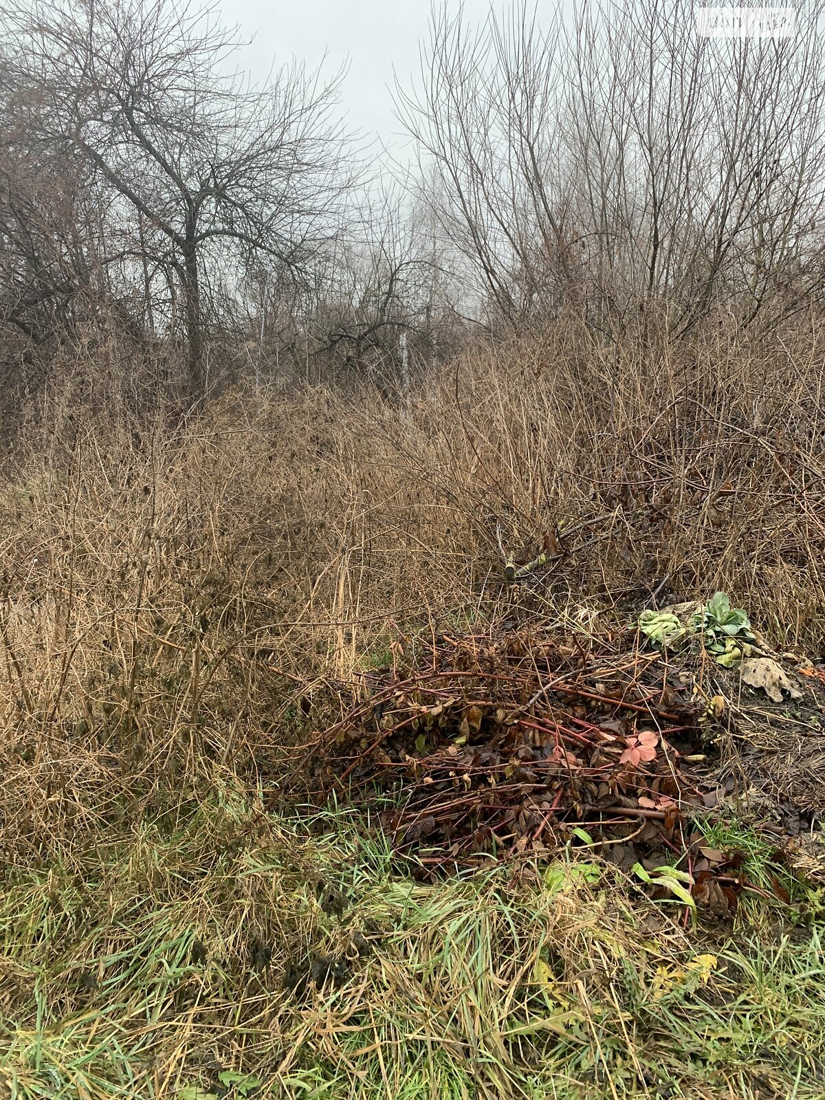 Земельна ділянка сільськогосподарського призначення в Медмежому Вушку, площа 6 соток фото 1