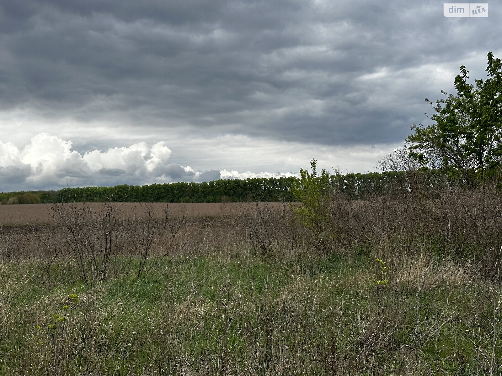 Земельный участок сельскохозяйственного назначения в Медвежьем Ушке, площадь 10 соток фото 1
