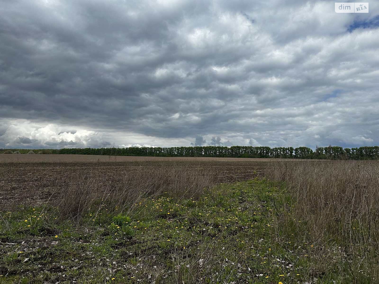 Земельный участок сельскохозяйственного назначения в Медвежьем Ушке, площадь 10 соток фото 1