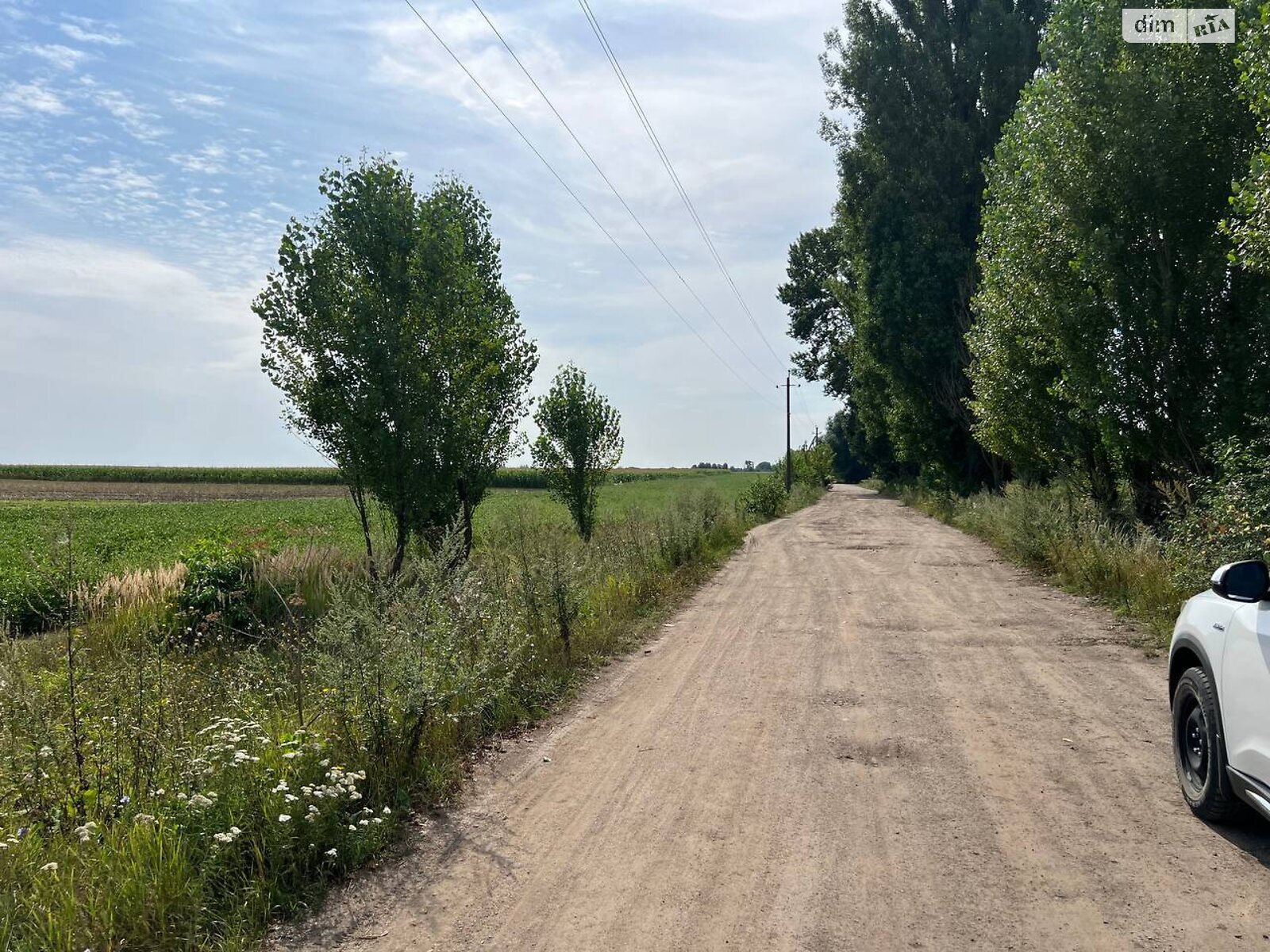 Земельна ділянка сільськогосподарського призначення в Медмежому Вушку, площа 20 соток фото 1